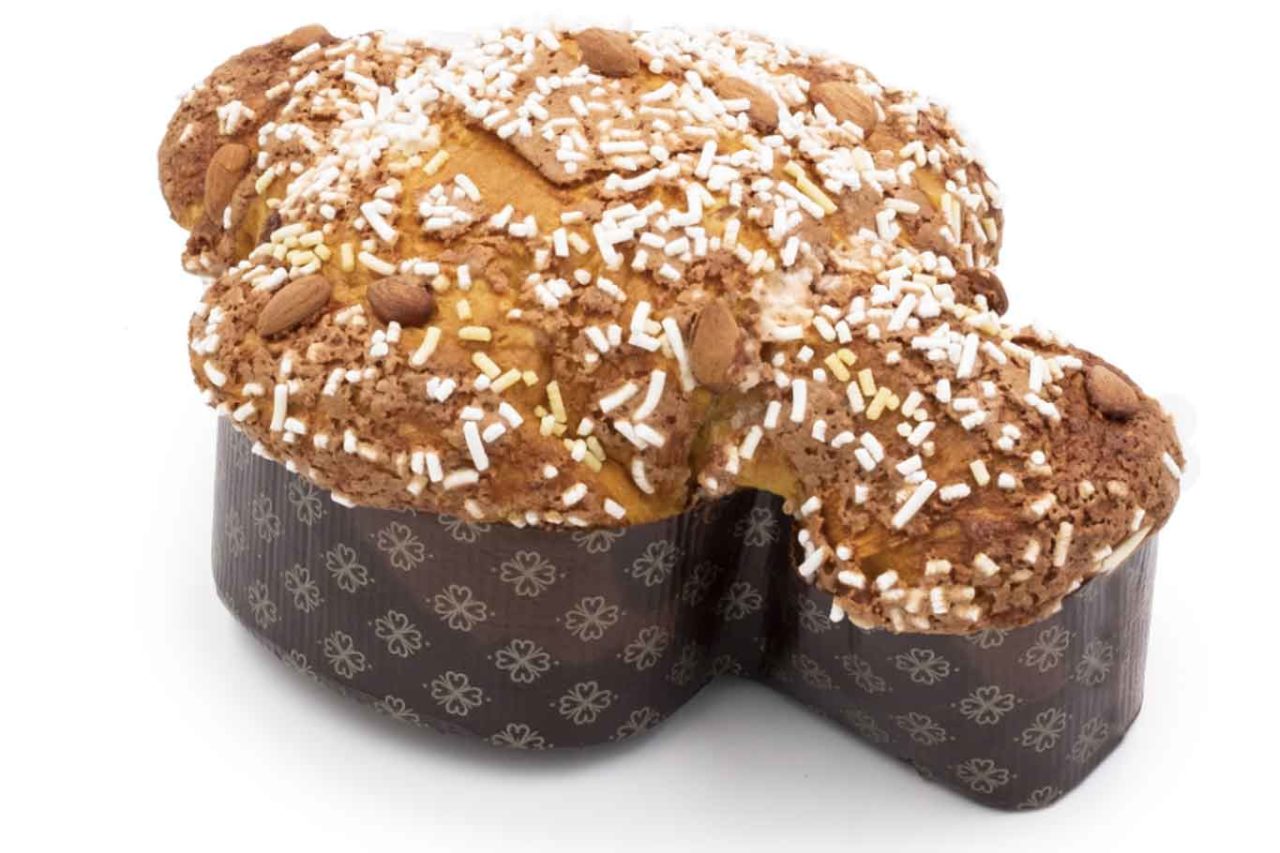 Colomba Paradiso- Madreterra