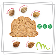 Pane Proteico Puravit  Grani Germinati 250 gr