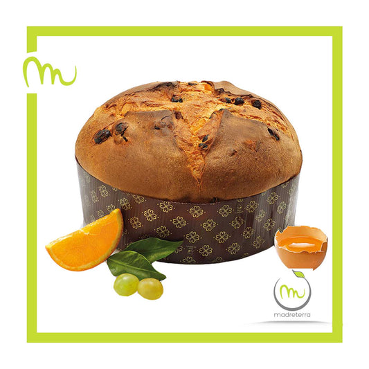 Panettone Classico - Madreterra